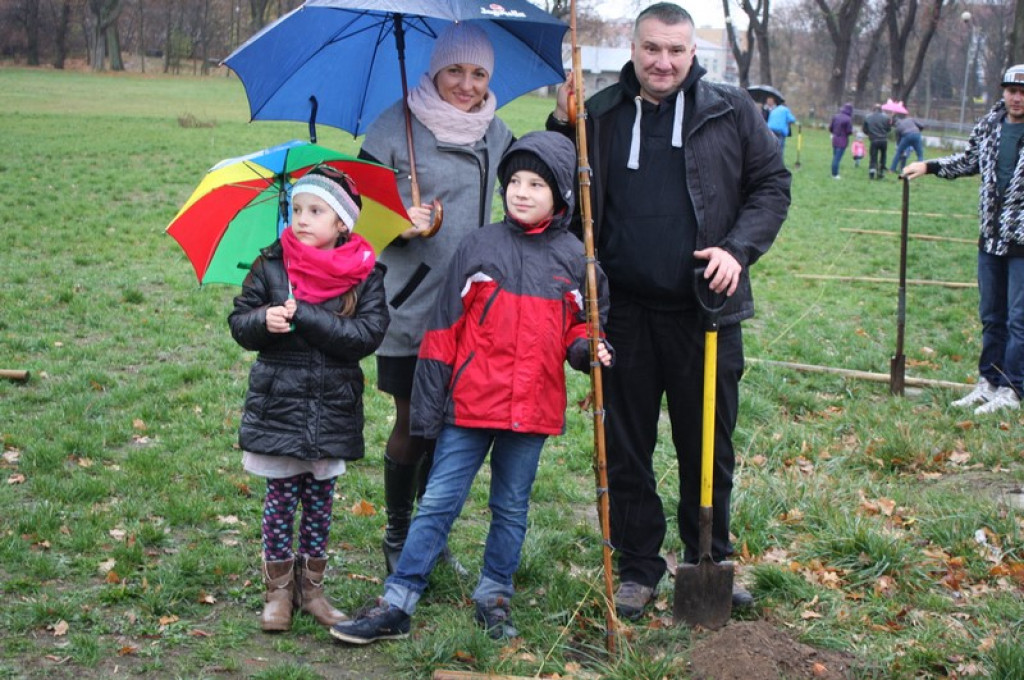 Plac Drzewny wzbogacony o 50 nowych lip