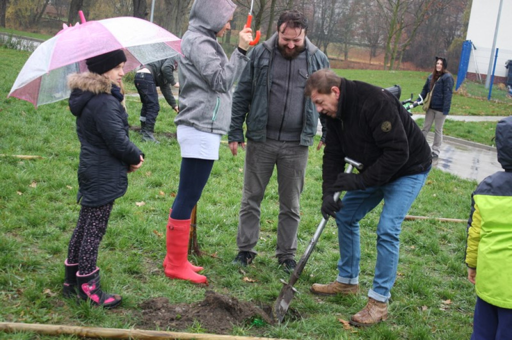 Plac Drzewny wzbogacony o 50 nowych lip