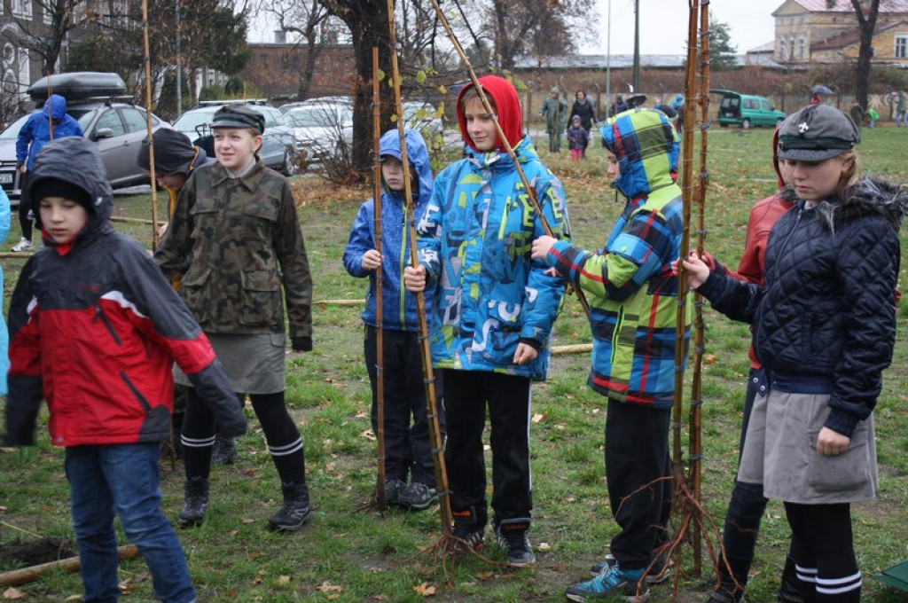 Plac Drzewny wzbogacony o 50 nowych lip