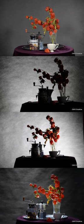 Warsztaty fotograficzne w Grodkowie