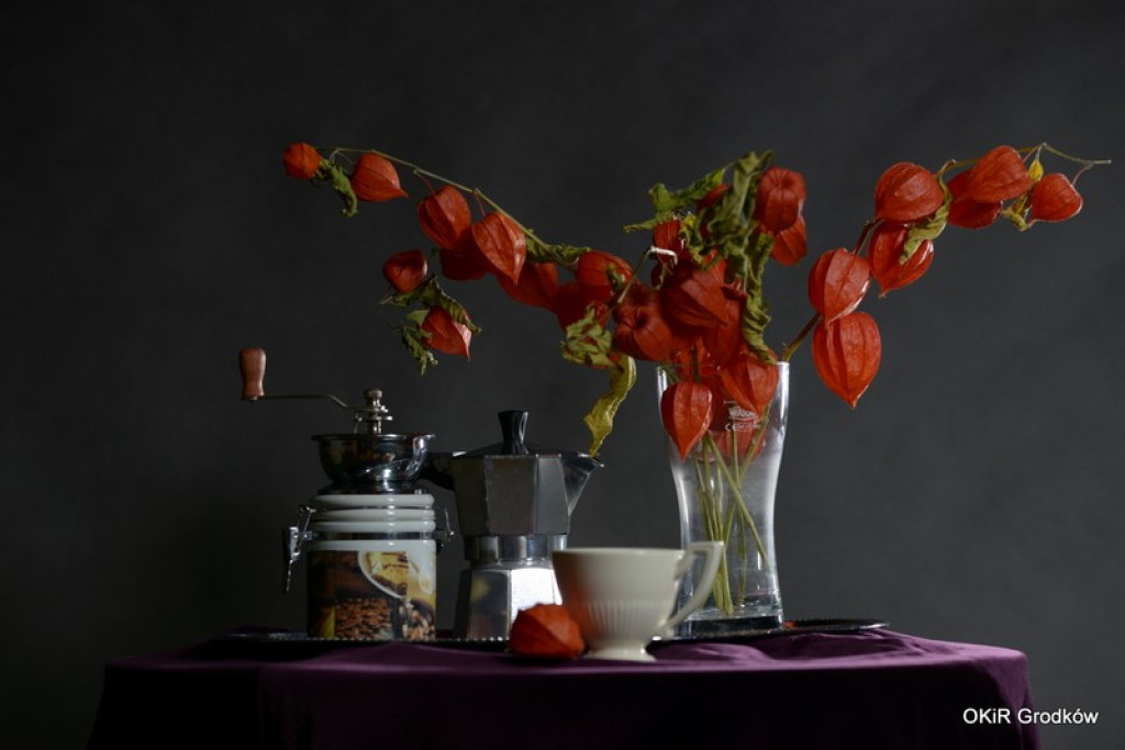 Warsztaty fotograficzne w Grodkowie