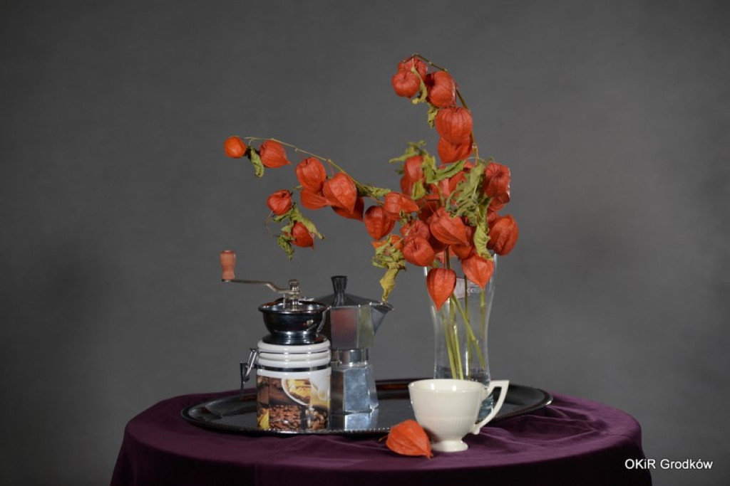 Warsztaty fotograficzne w Grodkowie