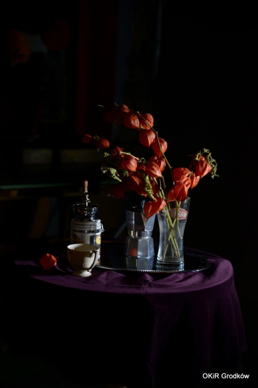 Warsztaty fotograficzne w Grodkowie