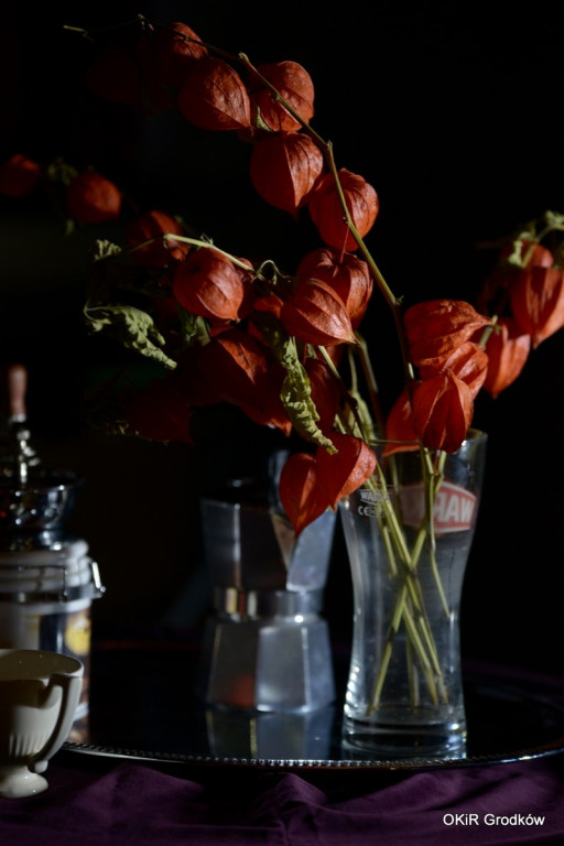 Warsztaty fotograficzne w Grodkowie