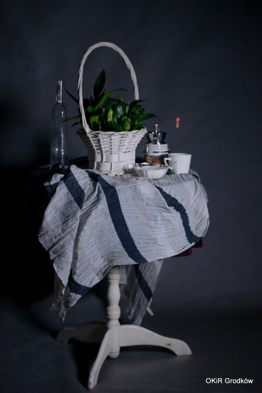 Warsztaty fotograficzne w Grodkowie