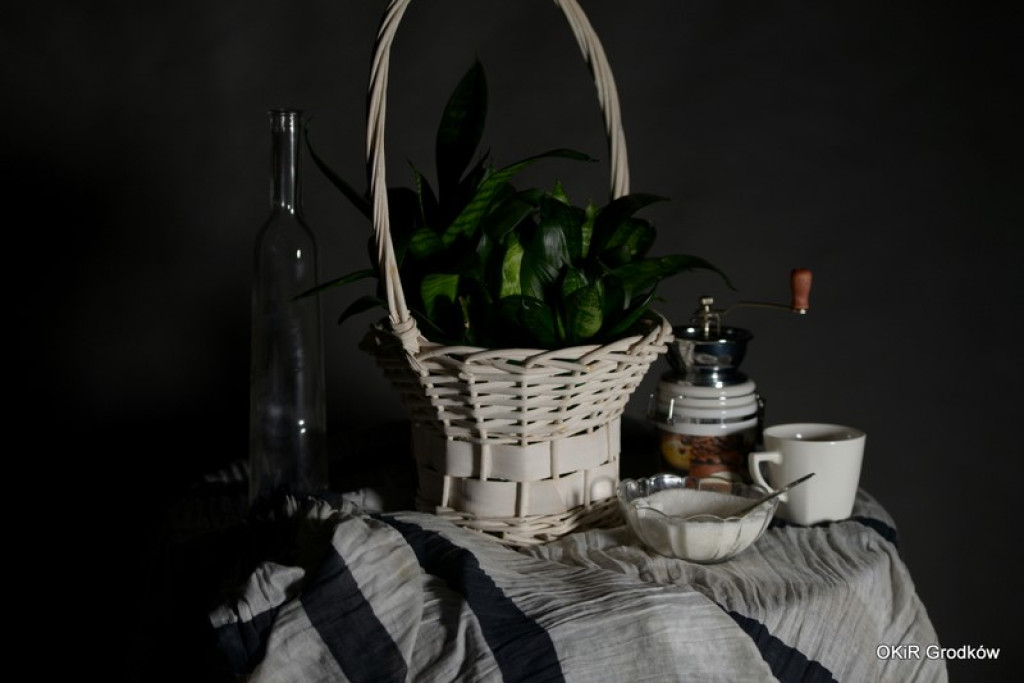 Warsztaty fotograficzne w Grodkowie