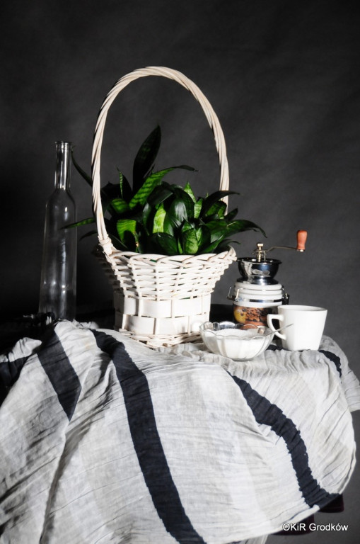 Warsztaty fotograficzne w Grodkowie