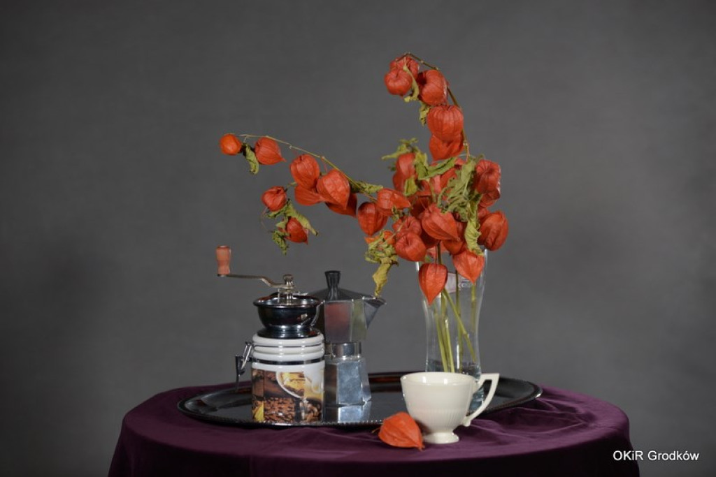 Warsztaty fotograficzne w Grodkowie