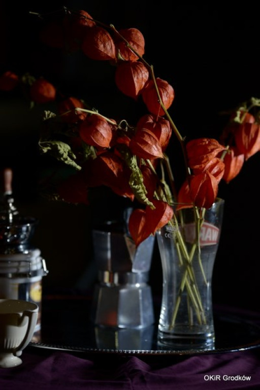 Warsztaty fotograficzne w Grodkowie