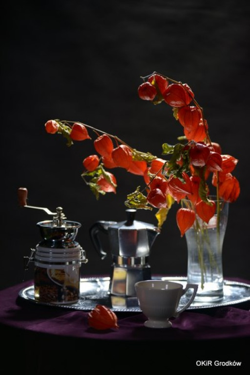 Warsztaty fotograficzne w Grodkowie