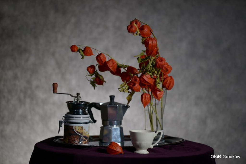 Warsztaty fotograficzne w Grodkowie