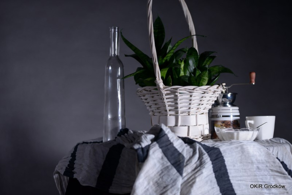 Warsztaty fotograficzne w Grodkowie