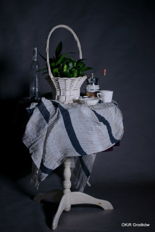 Warsztaty fotograficzne w Grodkowie