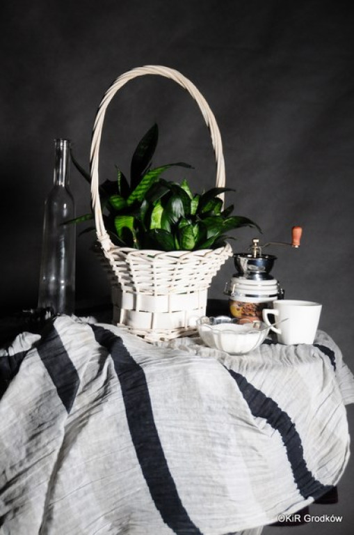 Warsztaty fotograficzne w Grodkowie