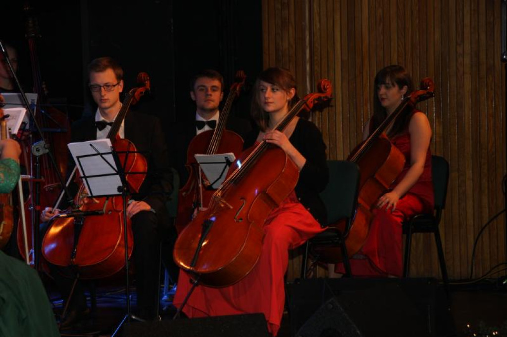 Koncert Noworoczny Orkiestry Książęcej. Zobacz zdjęcia z wydarzenia