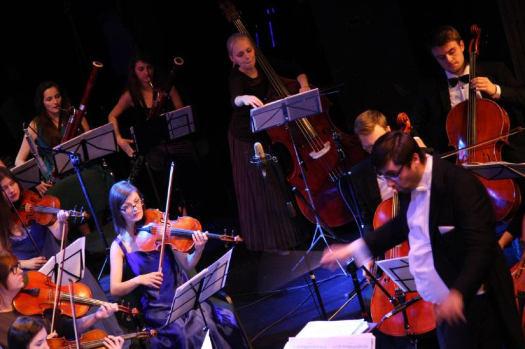 Koncert Noworoczny Orkiestry Książęcej. Zobacz zdjęcia z wydarzenia