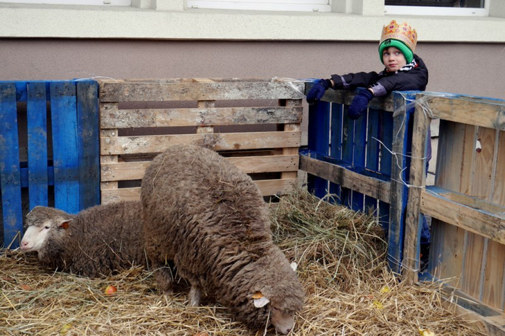 Orszak Trzech Króli przeszedł ulicami Brzegu