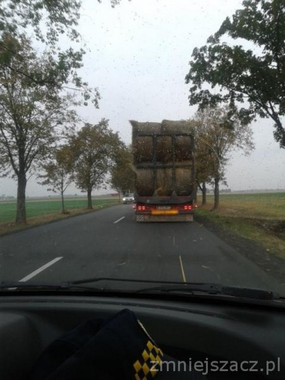 Przykładowe działania Straży Miejskiej w Grodkowie w okresie 01.10.2015 r. - 30.11.2015 r.