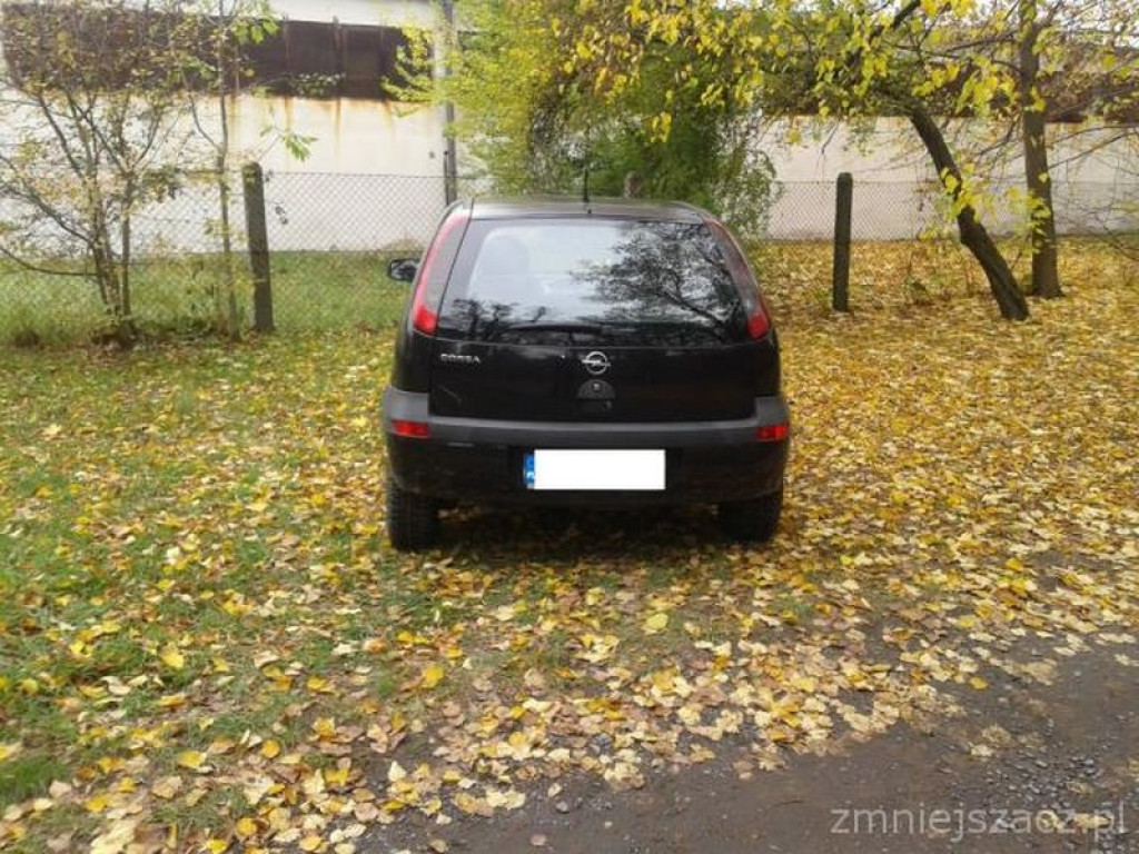 Przykładowe działania Straży Miejskiej w Grodkowie w okresie 01.10.2015 r. - 30.11.2015 r.