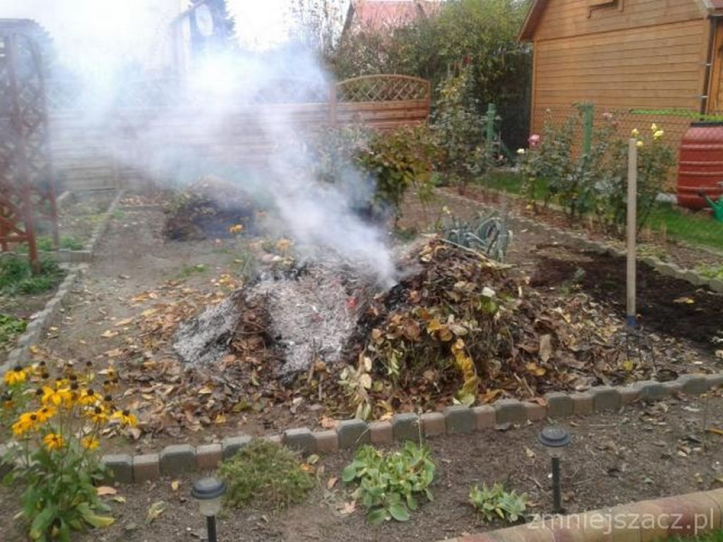 Przykładowe działania Straży Miejskiej w Grodkowie w okresie 01.10.2015 r. - 30.11.2015 r.