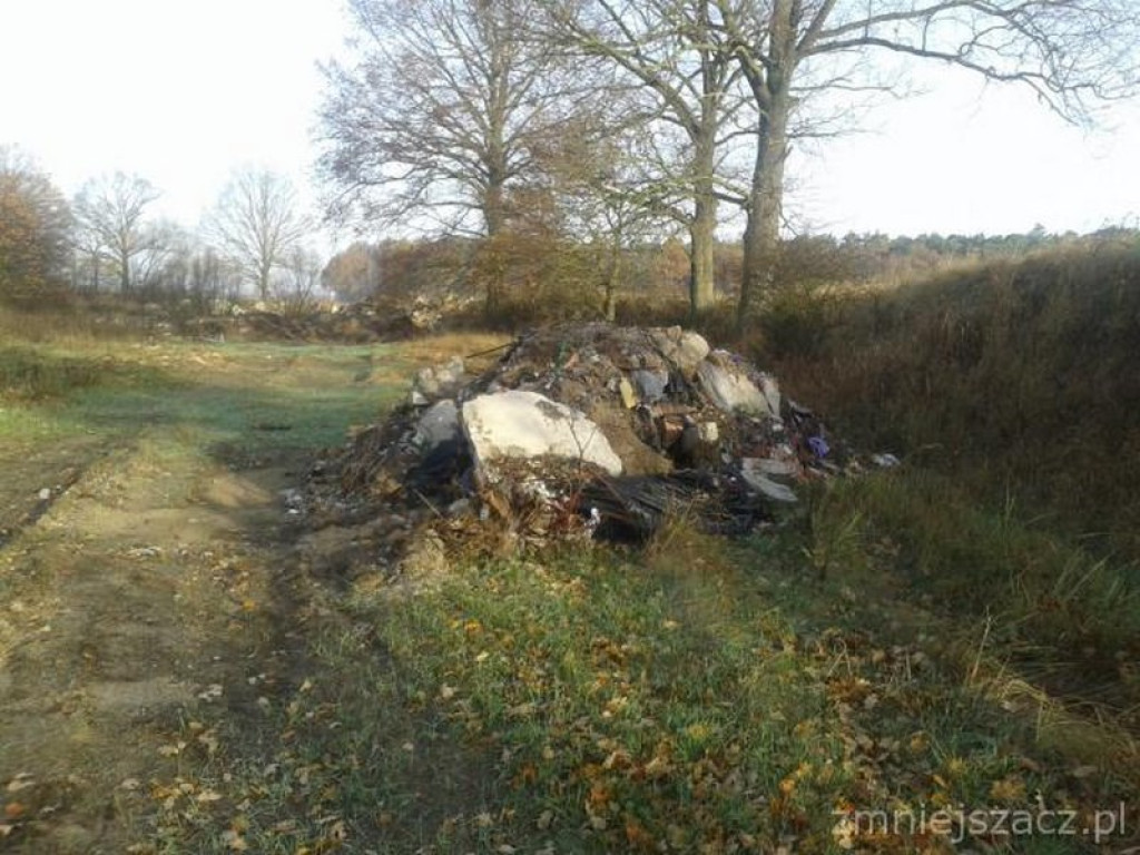 Przykładowe działania Straży Miejskiej w Grodkowie w okresie 01.10.2015 r. - 30.11.2015 r.