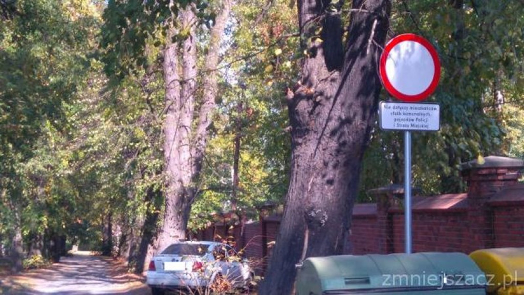 Przykładowe działania Straży Miejskiej w Grodkowie w okresie 01.10.2015 r. - 30.11.2015 r.