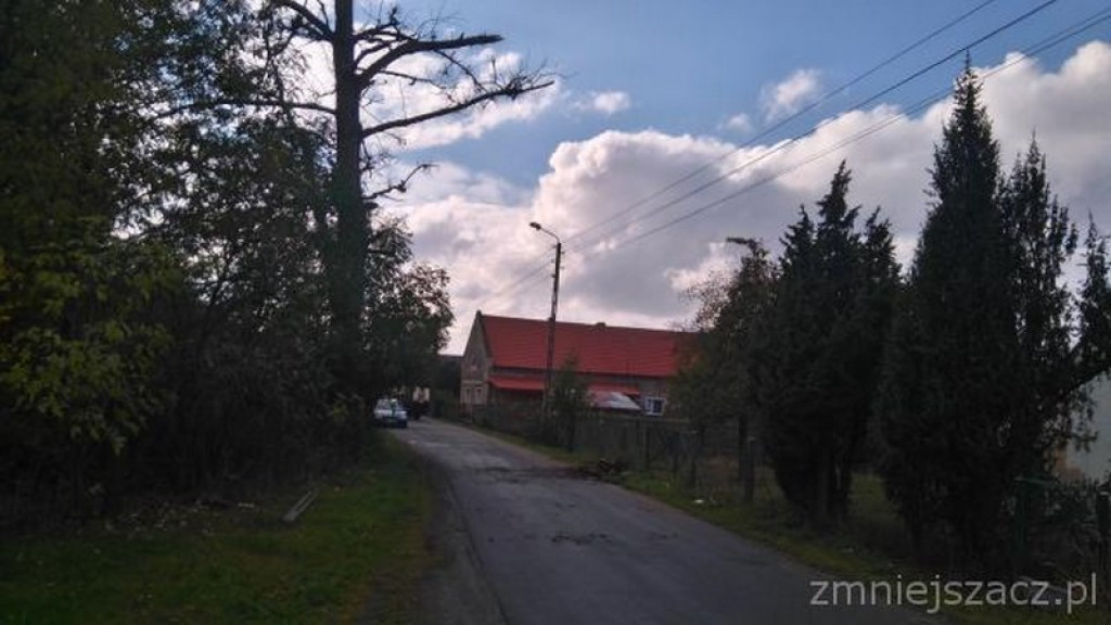 Przykładowe działania Straży Miejskiej w Grodkowie w okresie 01.10.2015 r. - 30.11.2015 r.