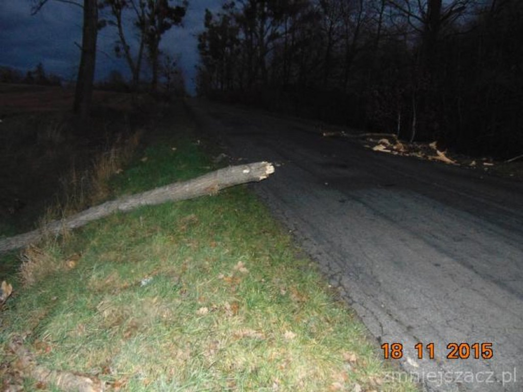 Przykładowe działania Straży Miejskiej w Grodkowie w okresie 01.10.2015 r. - 30.11.2015 r.