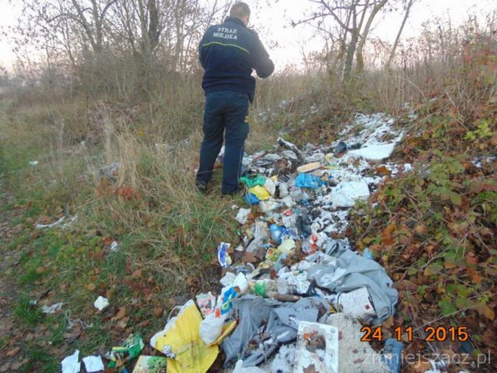 Przykładowe działania Straży Miejskiej w Grodkowie w okresie 01.10.2015 r. - 30.11.2015 r.