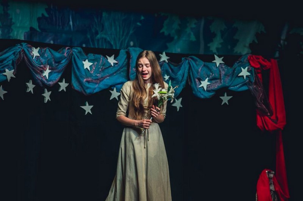 Herody 2016, czyli najazd kolędników z całego województwa [zdjęcia]