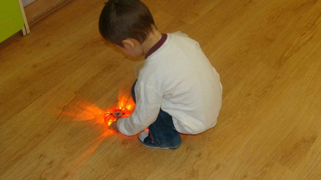 Strażacy z Łosiowa i Czeskiej Wsi dali 