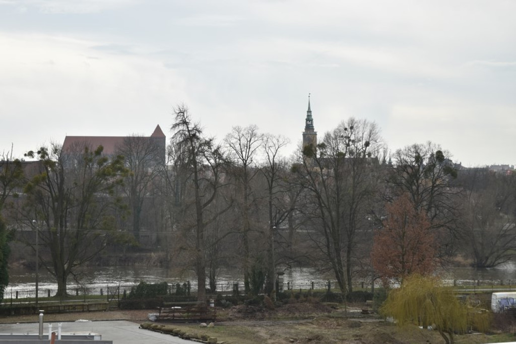 Stara winiarnia w podziemiach willi Molla. Mury przetrwały do dziś