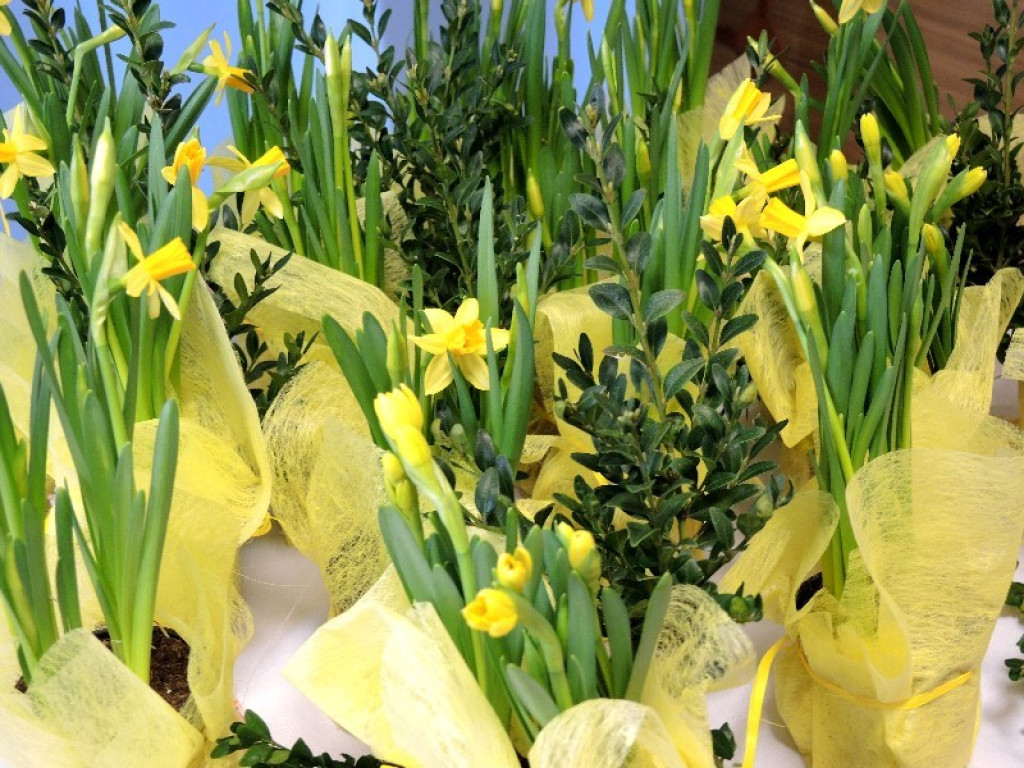 Hip hip hura Alleluja!