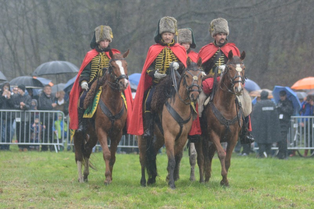 Inscenizacja bitwy pod Małujowicami [galeria zdjęć + wideo]