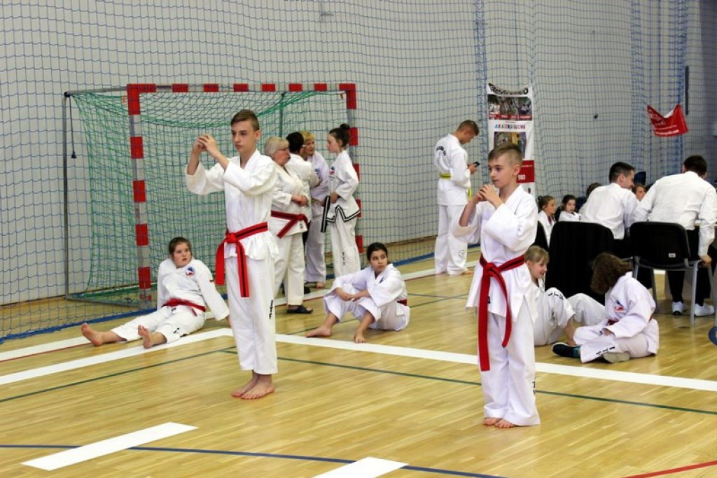 Dominatorzy z Opolszczyny, czyli Mistrzostwa Polski w Teakwon-do
