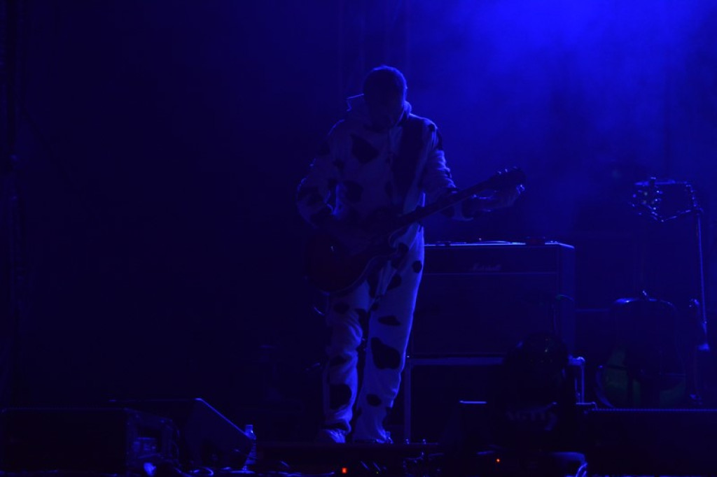 Dni Księstwa Brzeskiego - Koncert Margaret w brzeskim amfiteatrze na zakończenie drugiego dnia [FOTORELACJA]