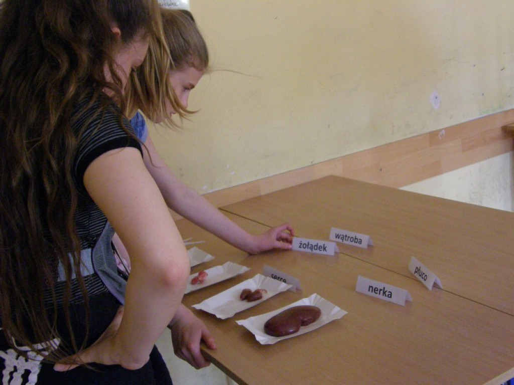 Dni otwarte w Publicznym Gimnazjum nr 4 - Małymi krokami do gimnazjum