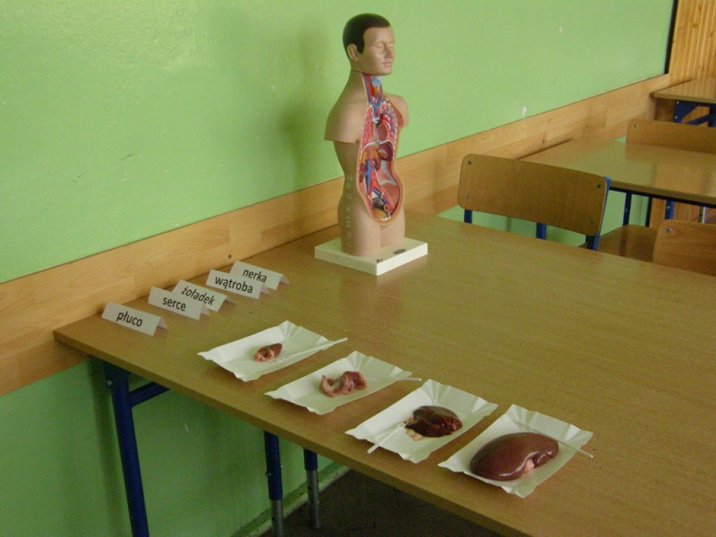 Dni otwarte w Publicznym Gimnazjum nr 4 - Małymi krokami do gimnazjum