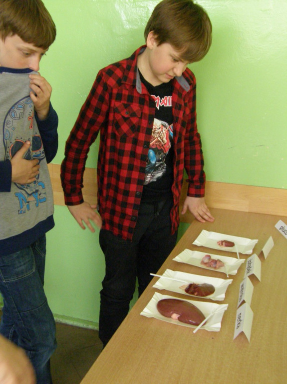 Dni otwarte w Publicznym Gimnazjum nr 4 - Małymi krokami do gimnazjum