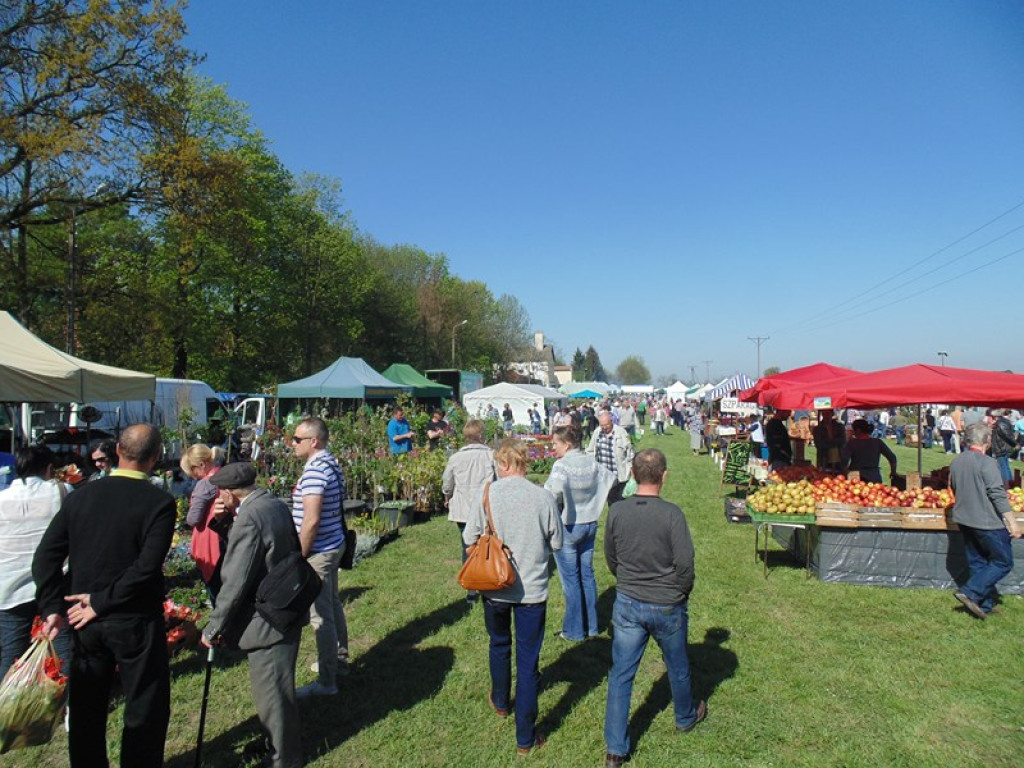 Otwarcie Święta Powiatu Brzeskiego w Łosiowie - aktualizacja [fotorelacja]