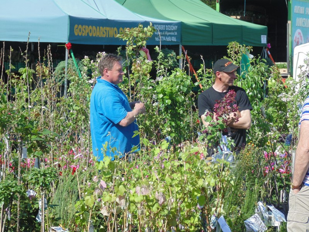 Otwarcie Święta Powiatu Brzeskiego w Łosiowie - aktualizacja [fotorelacja]