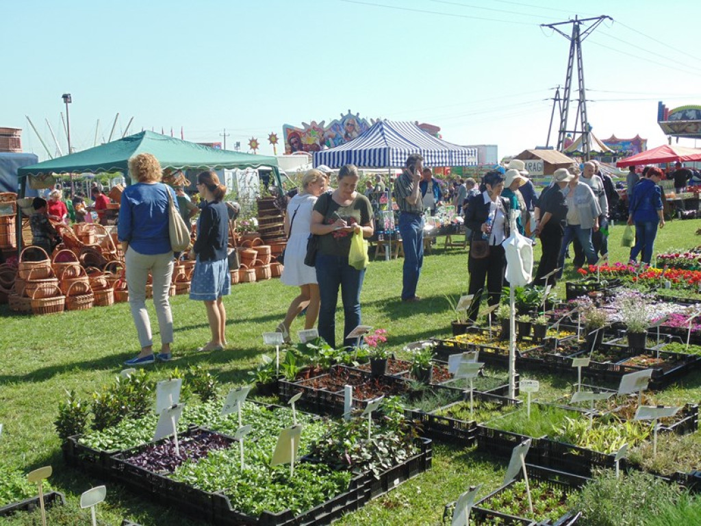 Otwarcie Święta Powiatu Brzeskiego w Łosiowie - aktualizacja [fotorelacja]