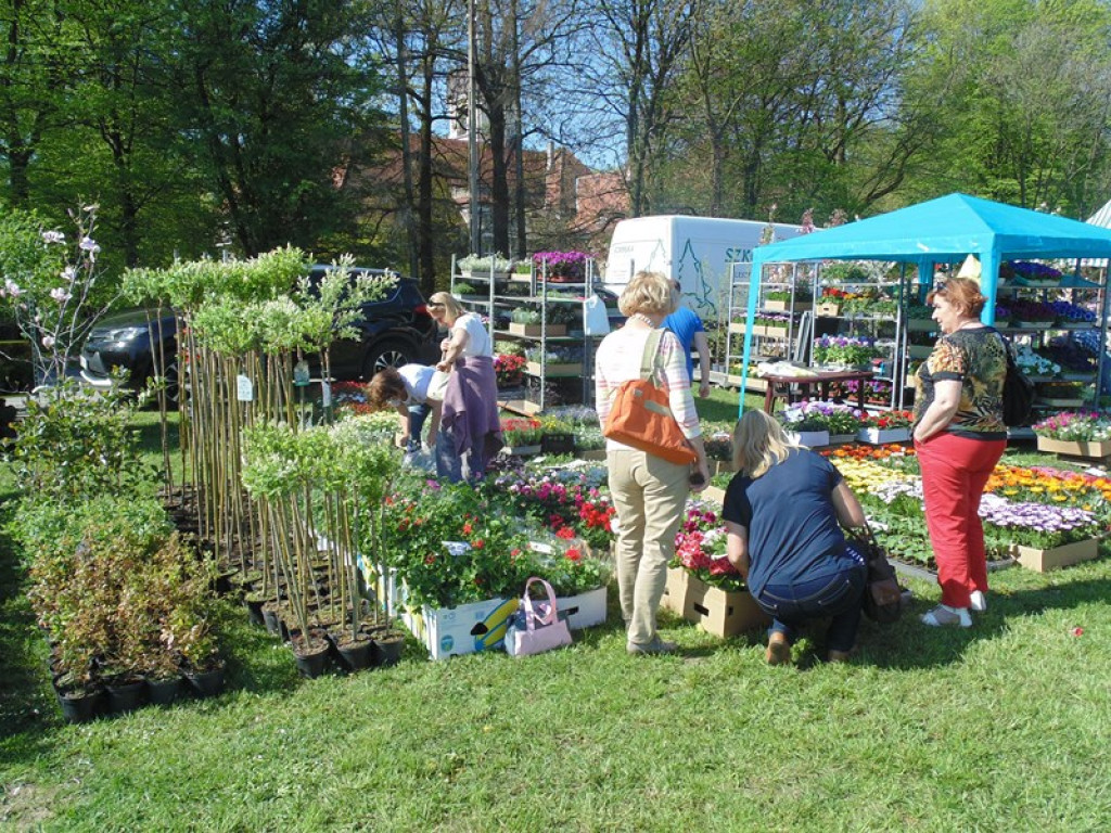 Otwarcie Święta Powiatu Brzeskiego w Łosiowie - aktualizacja [fotorelacja]