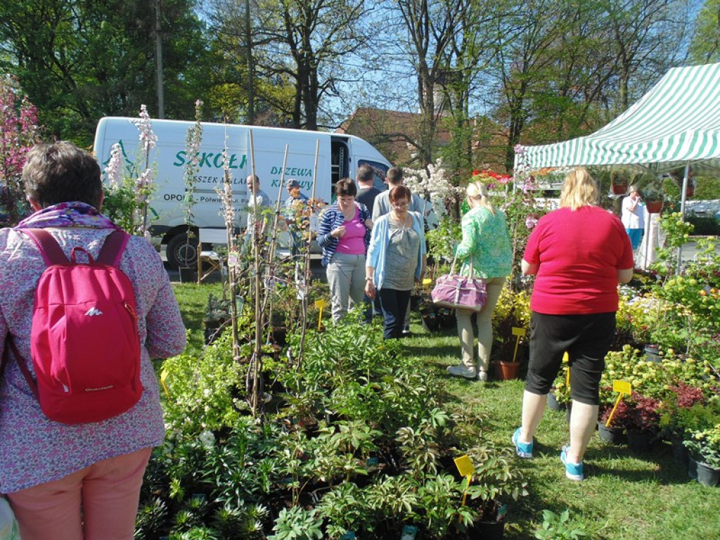 Otwarcie Święta Powiatu Brzeskiego w Łosiowie - aktualizacja [fotorelacja]