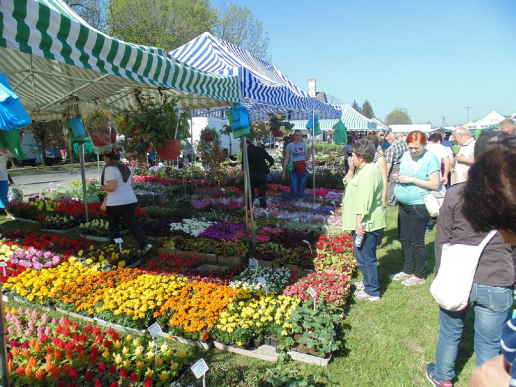 Otwarcie Święta Powiatu Brzeskiego w Łosiowie - aktualizacja [fotorelacja]