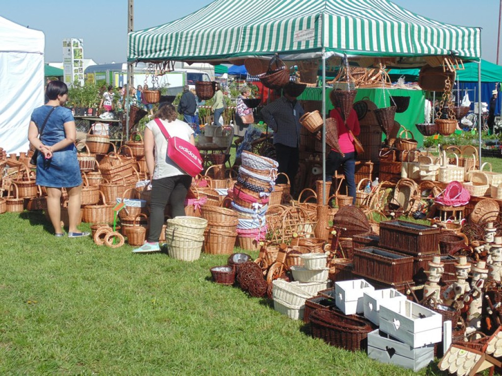 Otwarcie Święta Powiatu Brzeskiego w Łosiowie - aktualizacja [fotorelacja]
