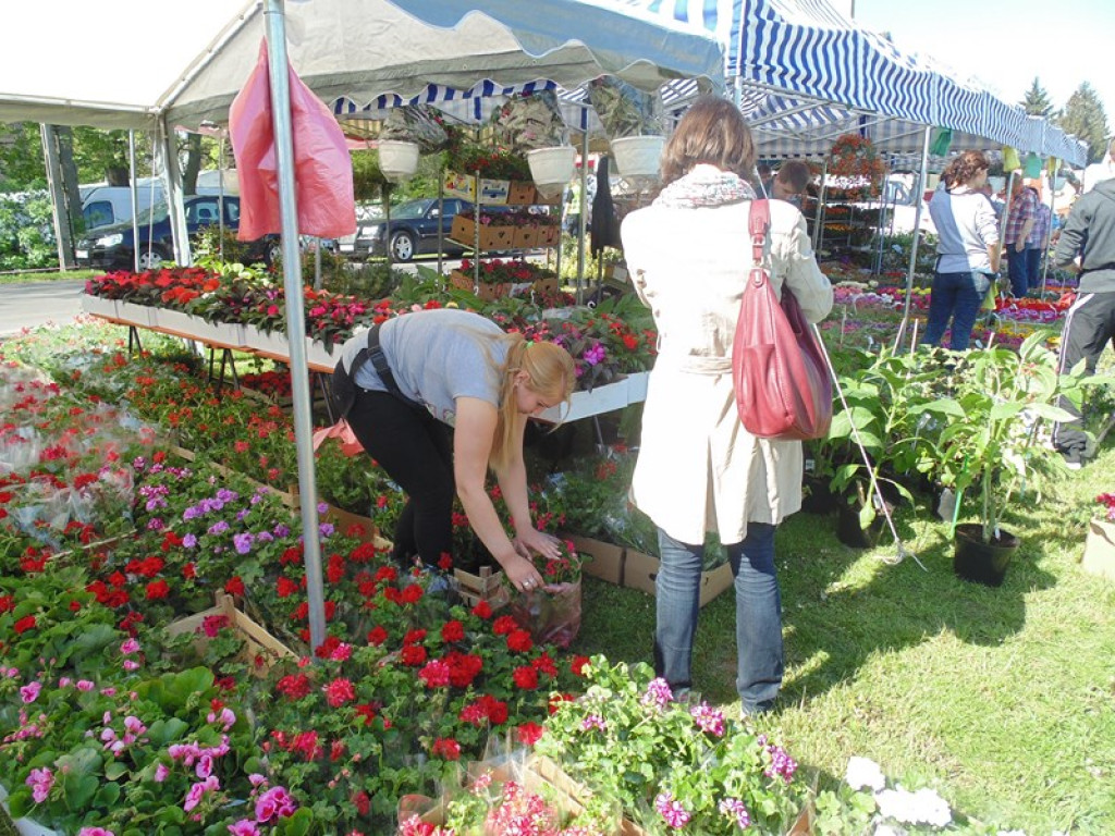 Otwarcie Święta Powiatu Brzeskiego w Łosiowie - aktualizacja [fotorelacja]