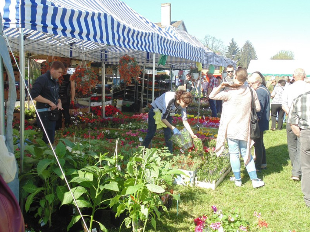 Otwarcie Święta Powiatu Brzeskiego w Łosiowie - aktualizacja [fotorelacja]