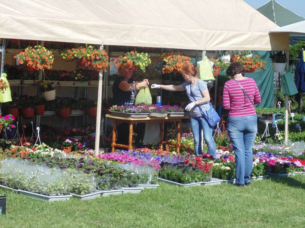Otwarcie Święta Powiatu Brzeskiego w Łosiowie - aktualizacja [fotorelacja]
