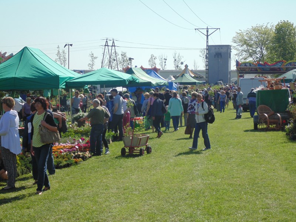 Otwarcie Święta Powiatu Brzeskiego w Łosiowie - aktualizacja [fotorelacja]
